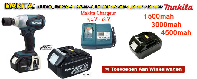 https://www.battery-plus.nl/images/aBagon_banner_1.jpg